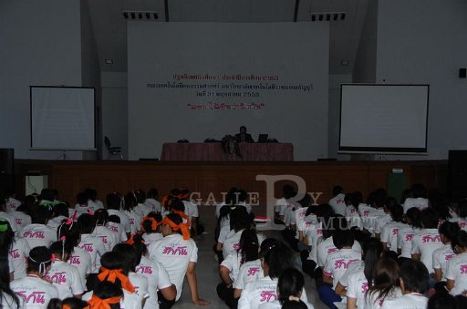 DSC_0029 Copy.JPG